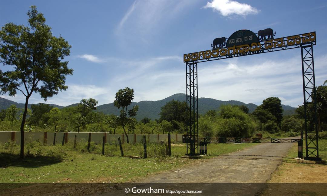 Biligiri Rangana Hills